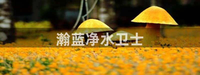 彩名堂免费计划亮点：瀚蓝净水卫士