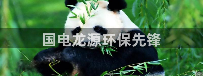 下载彩名堂预测计划软件：国电龙源环保