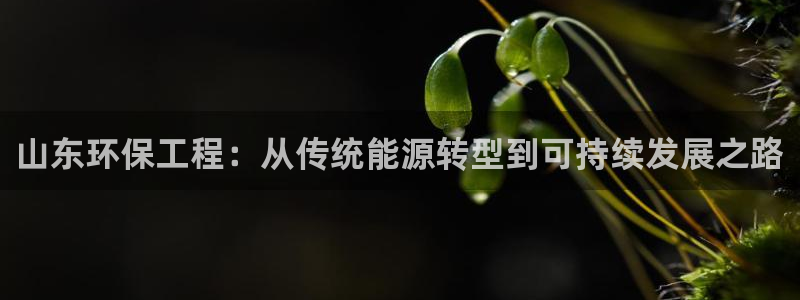 彩名堂计划怎么出的：山东环保工程：从