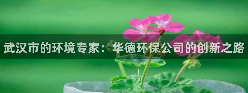 彩名堂客户端是永久免费吗安全吗：武汉