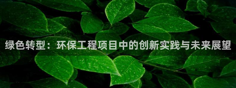 彩名堂预测官网：绿色转型：环保工程项