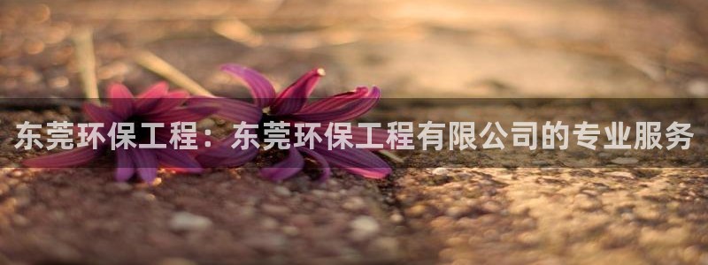 彩名堂为啥不准了乱变：东莞环保工程：