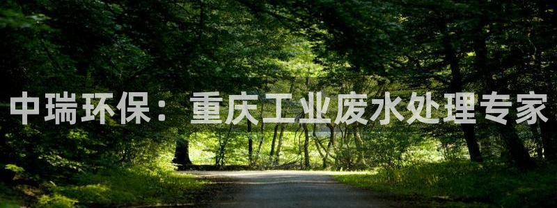 彩名堂.netnet：中瑞环保：重庆