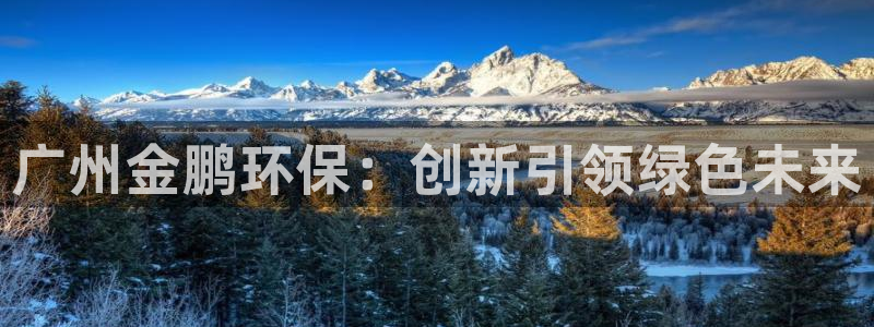 下载彩名堂预测计划软件安装：广州金鹏