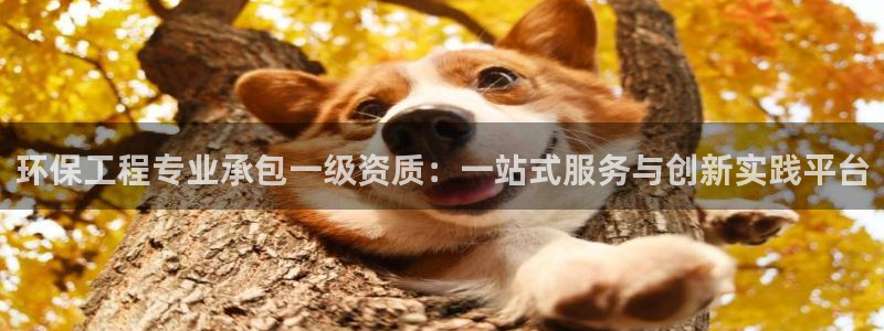 彩名堂是什么：环保工程专业承包一级资