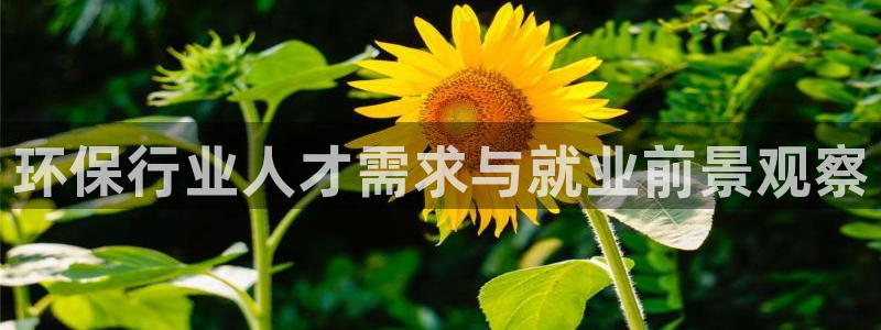 彩名堂计划和01计划怎么很稳：环保行