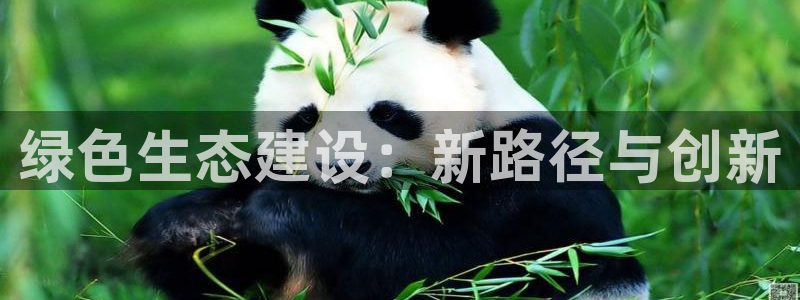 彩名堂免费计划使用方法是什么：绿色生