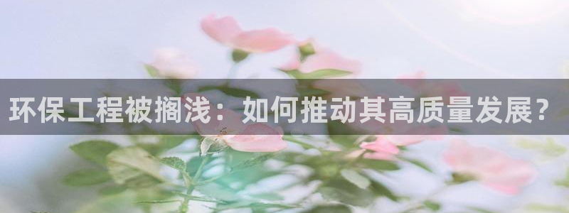 彩名堂官网谁有：环保工程被搁浅：如何