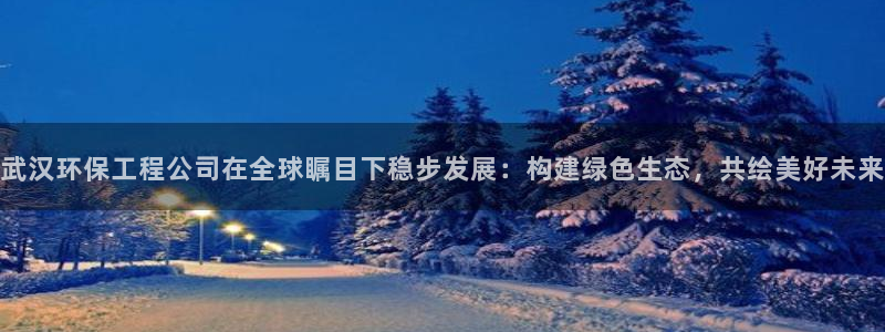 彩名堂官网客户端：武汉环保工程公司在