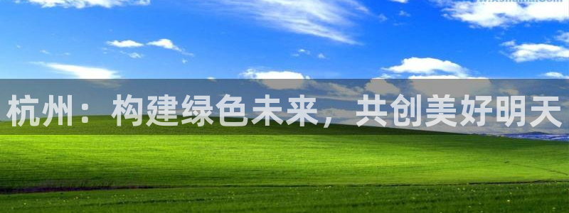 彩名堂免费计划软件下载：杭州：构建绿色未来，共创美好明天