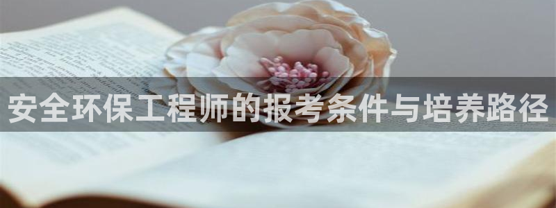 彩名堂人工计划客户端官网：安全环保工程师的报考条件与培养路径