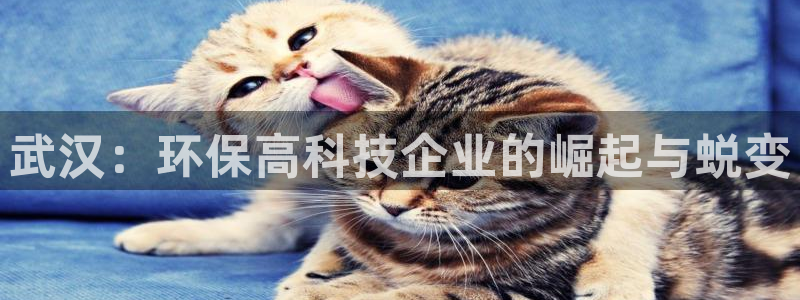 彩名堂计划官网客户端：武汉：环保高科