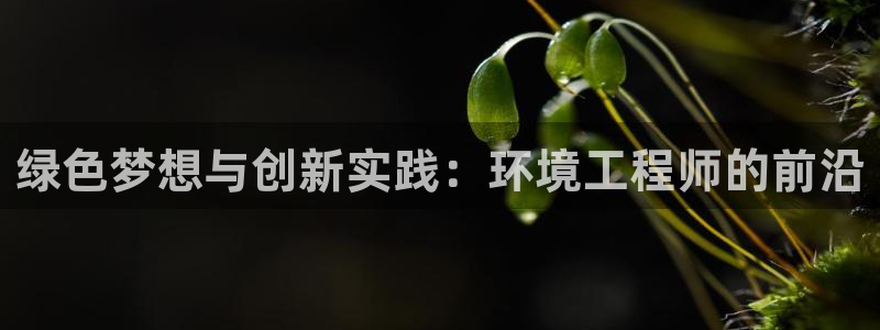 彩名堂好用还是千里马好用一点：绿色梦想与创新实践：环境工程师的前沿
