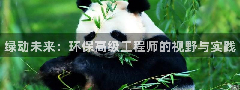 彩名堂是不是坑人的东西：绿动未来：环