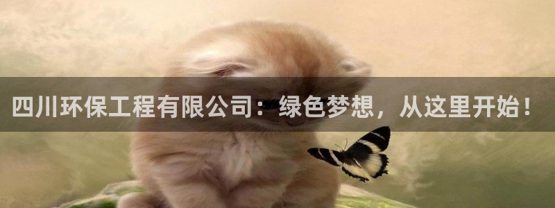 彩名堂合作655560：四川环保工程