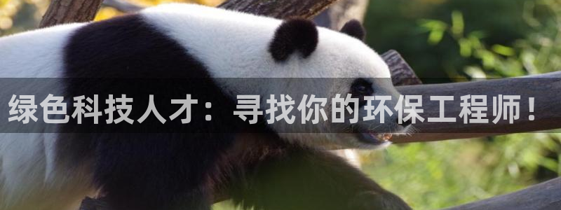 彩名堂双彩网：绿色科技人才：寻找你的