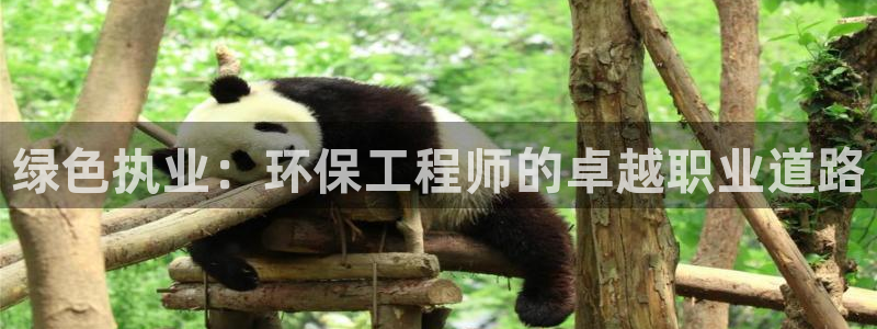 彩名堂是不是不能用了吗：绿色执业：环保工程师的卓越职业道路