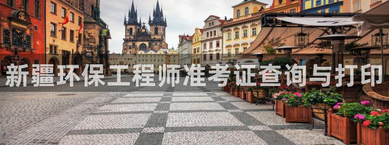 彩名堂4.3：新疆环保工程师准考证查询与打印