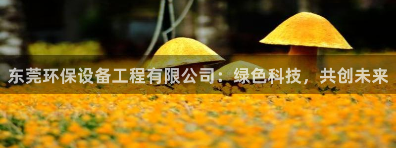 彩名堂官网在线计划怎么不更新了：东莞