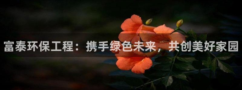 彩名堂计划怎么跟,为什么我一跟就挂：