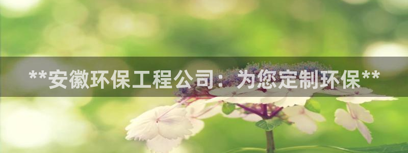 彩名堂app官方网：**安徽环保工程