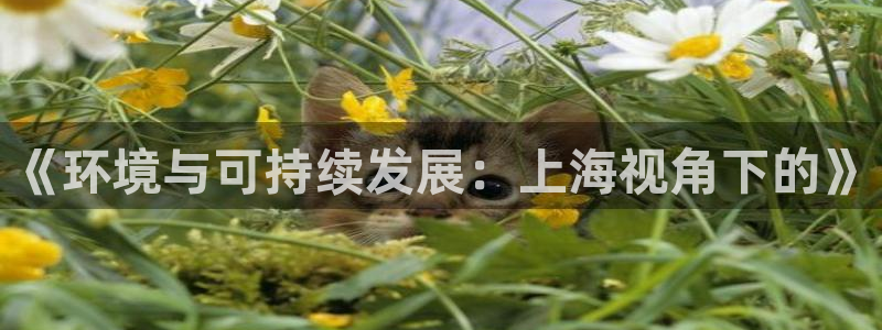 彩名堂手机版官网：《环境与可持续发展