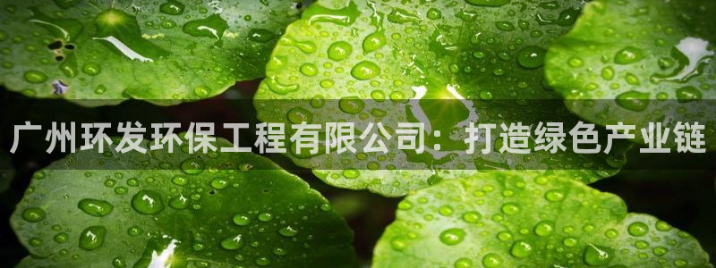 彩名堂app彩名堂客户端：广州环发环