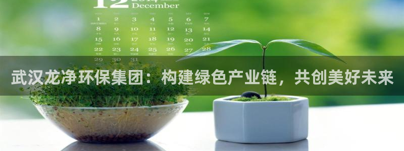 彩名堂计划最新版手机版：武汉龙净环保