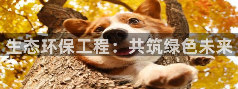 为什么彩名堂今天不能用：生态环保工程