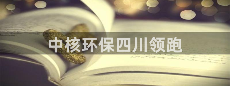 老版彩名堂：中核环保四川领跑