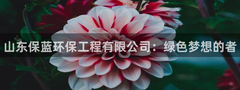 彩名堂一直不出结果怎么回事呀：山东保