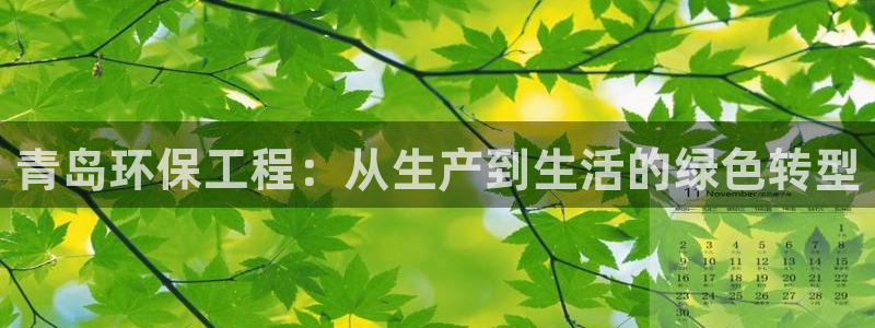 彩名堂官网：青岛环保工程：从生产到生