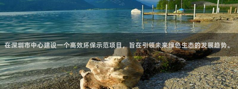 彩名堂的拼音：在深圳市中心建设一个高