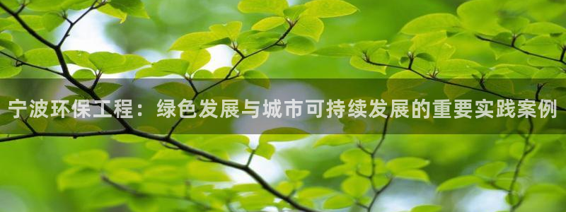 彩名堂计划真的准吗：宁波环保工程：绿