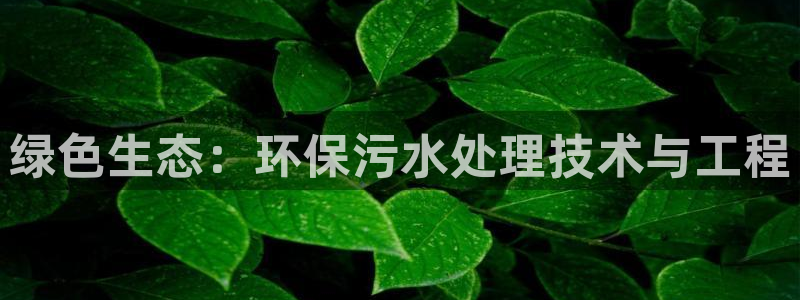 彩名堂和01计划哪个好：绿色生态：环