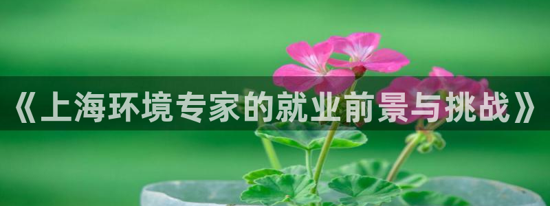 彩名堂怎么用不了了：《上海环境专家的