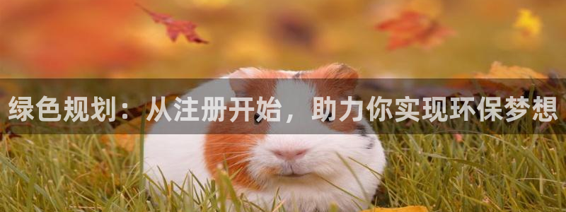 彩名堂客户端是永久免费吗安全吗苹果：绿色规划：从注册开始，助