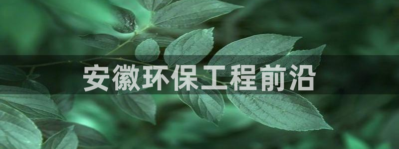 彩名堂官网：安徽环保工程前沿