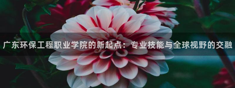 彩名堂客户端是永久免费吗安全吗：广东环保工程职业学院的新起点
