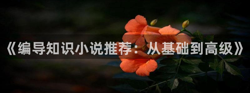 江山文学网小说网